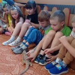 phoca_thumb_m_agamy krlk zajci 9 Fotogalerie